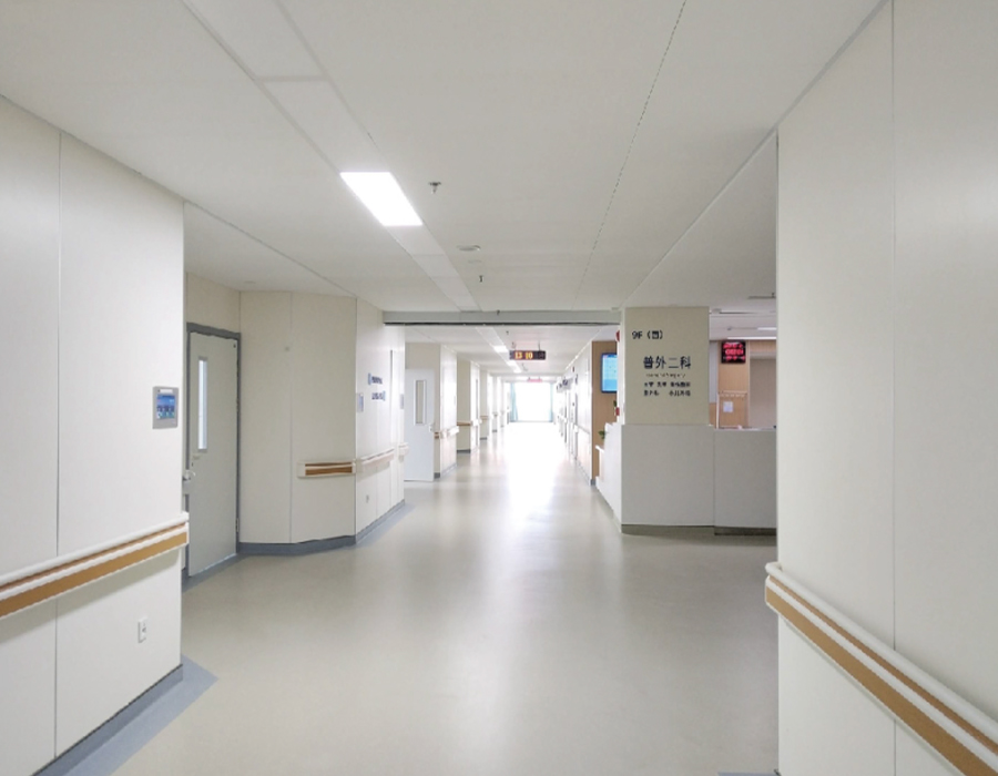 Kalsiumsilikat dekorativt veggpanel